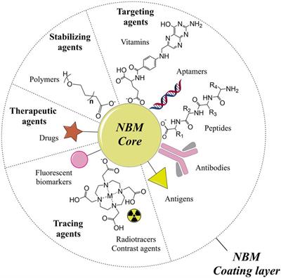 Titanium and Iron Oxide Nanoparticles for Cancer Therapy: Surface Chemistry and Biological Implications